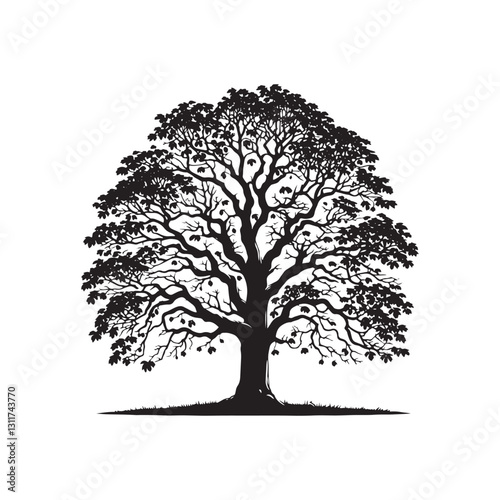 Minimalist Butternut Tree Silhouette - Butternut Tree Design - Butternut Tree Vector - Butternut Tree Illustration.