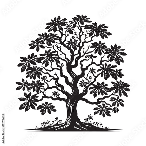 Minimalist Butternut Tree Silhouette - Butternut Tree Design - Butternut Tree Vector - Butternut Tree Illustration.