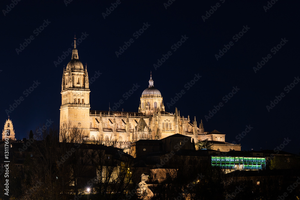 Naklejka premium Historic center and the Cathedral. Night. Salamanca, Castile and Leon, Spain.