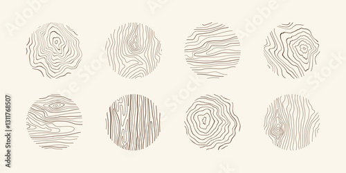Wood tree pattern texture icon, trunk with annual circle line of age pictogram, set vector design