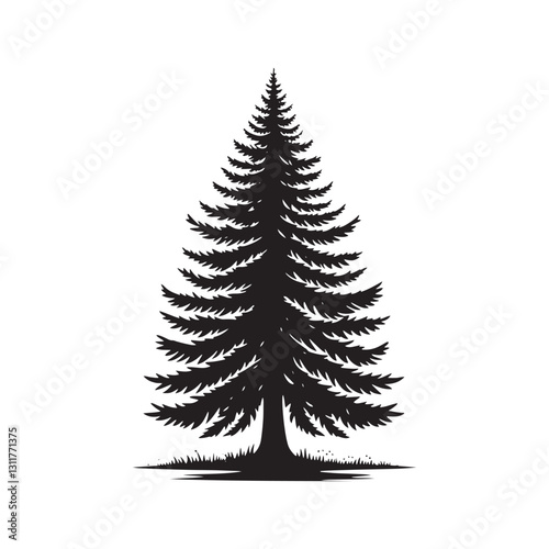 Douglas Tree Silhouette - Minimalist Tree Design - Douglas Tree Vector - Illustration of Douglas Tree.