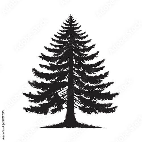 Douglas Tree Silhouette - Minimalist Tree Design - Douglas Tree Vector - Illustration of Douglas Tree.