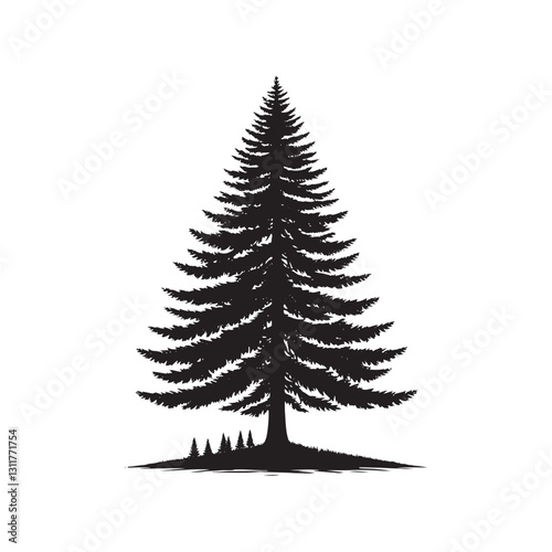 Douglas Tree Silhouette - Minimalist Tree Design - Douglas Tree Vector - Illustration of Douglas Tree.