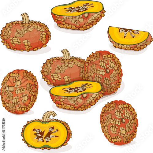 Set of Galeux de Eysines Squash or French Warted Pumpkin. Winter squash. Cucurbita maxima. Vegetables. Clip art. Isolated vector illustration.