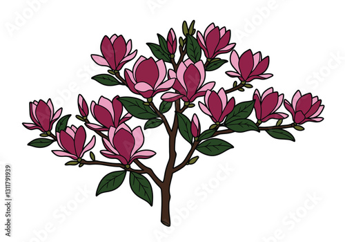 Clip art magnolia tree. Pink magnolia flowers on branches with green leaves. Vector illustration design.