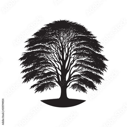 European beech tree Silhouette - Minimalist Tree Vector - European beech tree Illustration - European beech tree art -  Tree Deign.