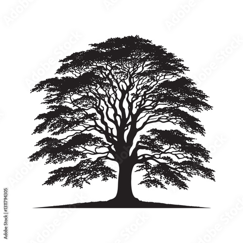 European beech tree Silhouette - Minimalist Tree Vector - European beech tree Illustration - European beech tree art -  Tree Deign.