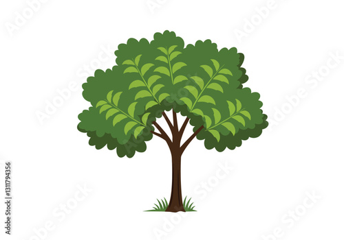 Neem tree clip art. This image shows a neem tree with green leaves and a brown trunk. Vector illustration design.