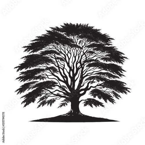 European beech tree Silhouette - Minimalist Tree Vector - European beech tree Illustration - European beech tree art -  Tree Deign.