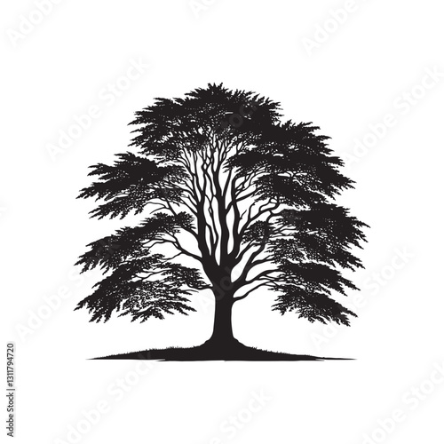 European beech tree Silhouette - Minimalist Tree Vector - European beech tree Illustration - European beech tree art -  Tree Deign.