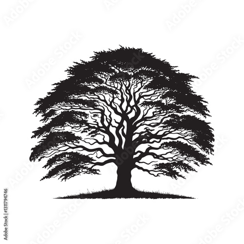 European beech tree Silhouette - Minimalist Tree Vector - European beech tree Illustration - European beech tree art -  Tree Deign.