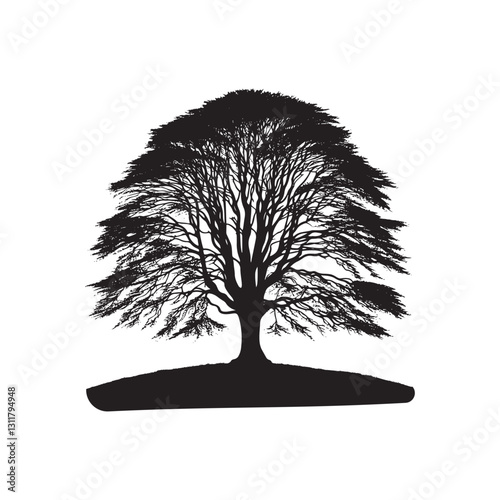 European beech tree Silhouette - Minimalist Tree Vector - European beech tree Illustration - European beech tree art -  Tree Deign.