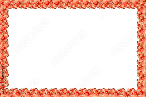 Orange frame, orange hibiscus, Hibiscus frame, orange hibiscus frame. 