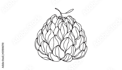 Continuous one single minimal line drawing fruit