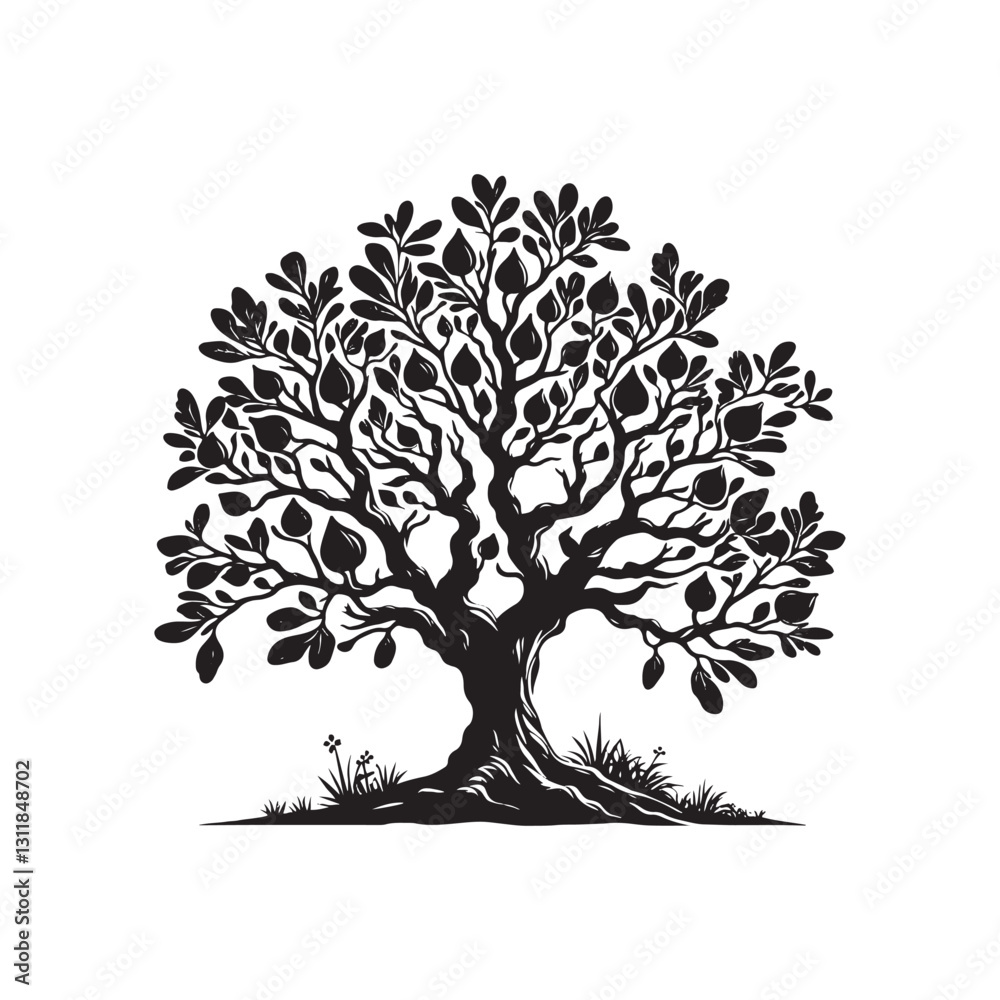 Obraz premium Fig Tree Silhouette - Minimalist Fig Tree - Fig Tree Vector - Fig Tree Illustration - Fig Tree Design - Fig Tree Art.