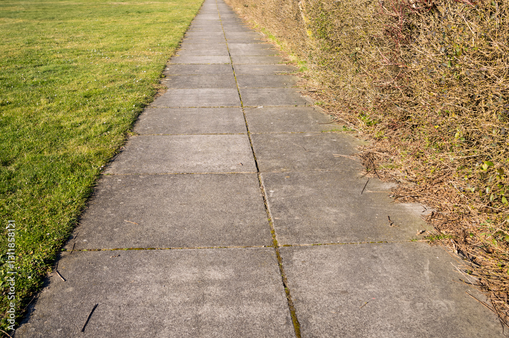 Concrete slab sidewalk between grass field and hedge Concrete slab sidewalk between grass field and hedge