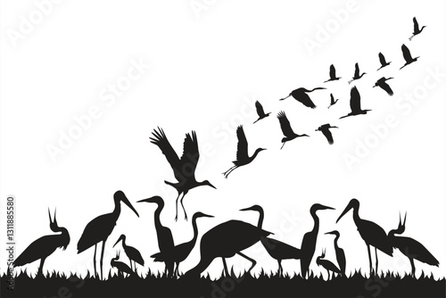 Vector storks. Silhouette of a flock of storks looking for food. Animal life in the wild