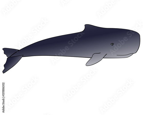 Whale. Sperm whale - a huge animal from the ocean - vector full color gradient picture with outline. Sperm whale is a marine mammal living in the underwater world.	