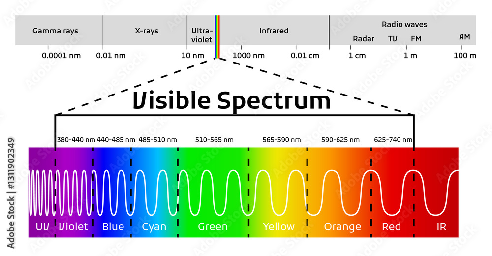 Spectrum wavelength. Visible spectrum color range. Educational physics light line. Light wave frequency. Wavelengths of the visible part of the spectrum for human eyes