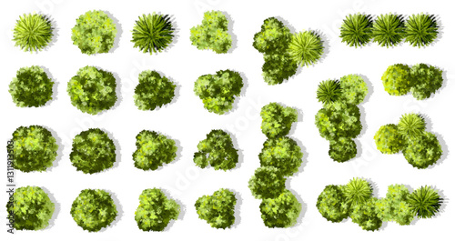 Vector set of Top view green tree for outdoor plan or map and architecture drawing, elements for environment and garden ,botanical elements ,Blooming flowers in spring,tropical plants element