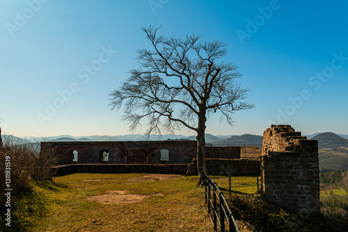 BURGRUINE LINDELBRUNN BEI VORDERWEIDENTHAL / Pfälzerwald 