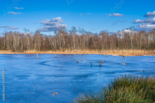 Hamburg, Germany. The nature reserve Wittmoor in winter. It is the last upland moor in northern Hamburg and is a popular local recreation area.