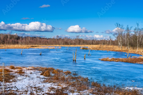 Obraz na płótnie Hamburg, Germany. The nature reserve Wittmoor in winter. It is the last upland moor in northern Hamburg and is a popular local recreation area. w salonie