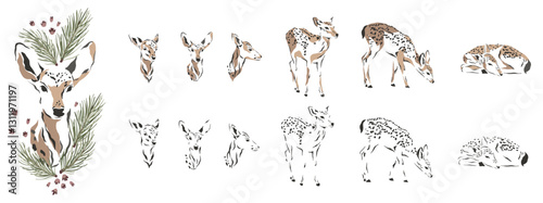 Deer Illustration Set: A charming collection of deer illustrations, capturing the beauty and grace of these forest creatures, ideal for designs.