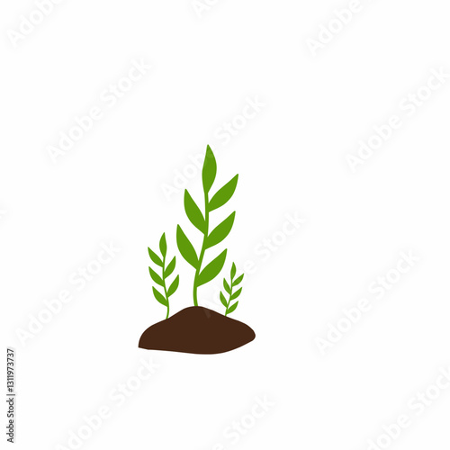Hand drawn illustration of plant growth stages 