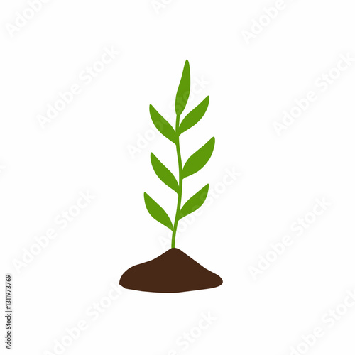 Hand drawn illustration of plant growth stages 