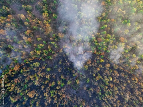 Tableau sur toile Drone view of a forest fire, with smoke and emissions, showing the devastating effects on the environment and climate change