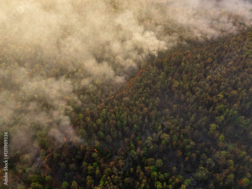 Forest fire captured from above—smoke, flames, and deforestation in action. Greenhouse gases rise, accelerating global warming. A shocking look at the effects of climate change.