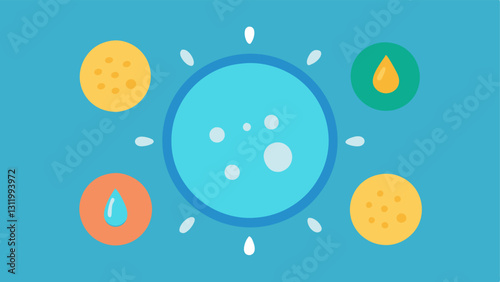 These descriptions can help guide the creation of vector illustrations focused on exosome hydrogels for skin soothing.