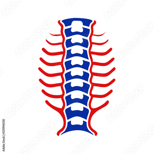 Spine icon in red and blue colors, health and anatomy concept