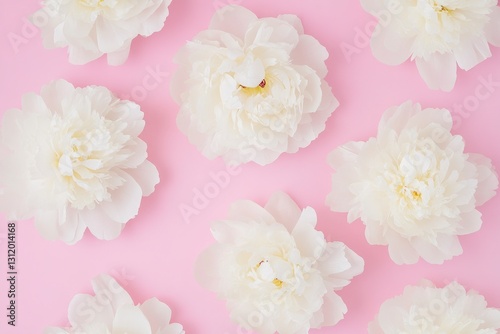 Flat lay pattern, white peonies on a pastel pink background.   Valentine's Day and Mother's Day Concept.