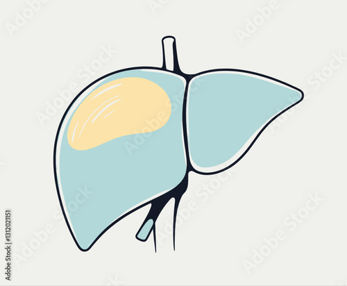 Pale Blue Liver Illustration with Yellow Gallbladder
