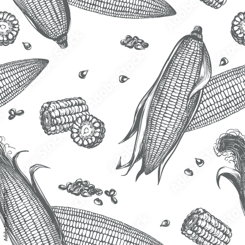 Corn vector seamless pattern. Background with linear sketch of whole corn cobs with leaves, maize pieces and grains. Old drawing in retro engraving style. Hand drawn realistic ink sketch.