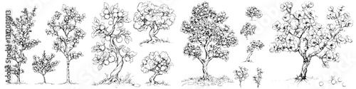Diverse tree sketches depicting various species and styles in a black and white illustration