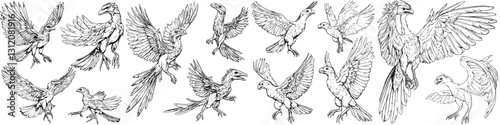 Colorful birds in flight showcasing various species and wing designs in a natural setting