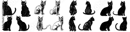 Collection of cat silhouettes and illustrations in various poses showcasing different breeds and expressions for creative projects
