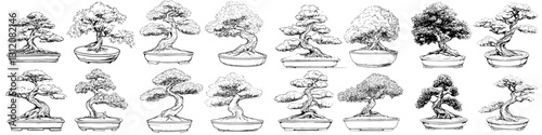 Various artistic illustrations of bonsai trees showcasing different shapes and styles in a cohesive layout