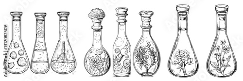 Detailed illustration of various laboratory glassware featuring diverse substances and botanical elements