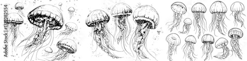 Black and white jellyfish graphic set featuring a modern isolated sketch illustration