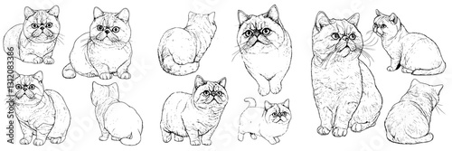 Various sketches of cats showcasing different poses and expressions in a serene setting