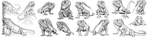Illustrations showcase various poses and expressions of iguanas in a detailed sketch format