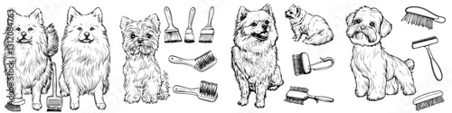 Various dog breeds surrounded by grooming tools display artistic illustrations emphasizing pet care and grooming activities