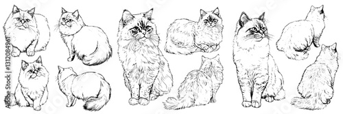 Collection of hand-drawn vintage-style cat illustrations showcasing various poses and expressions
