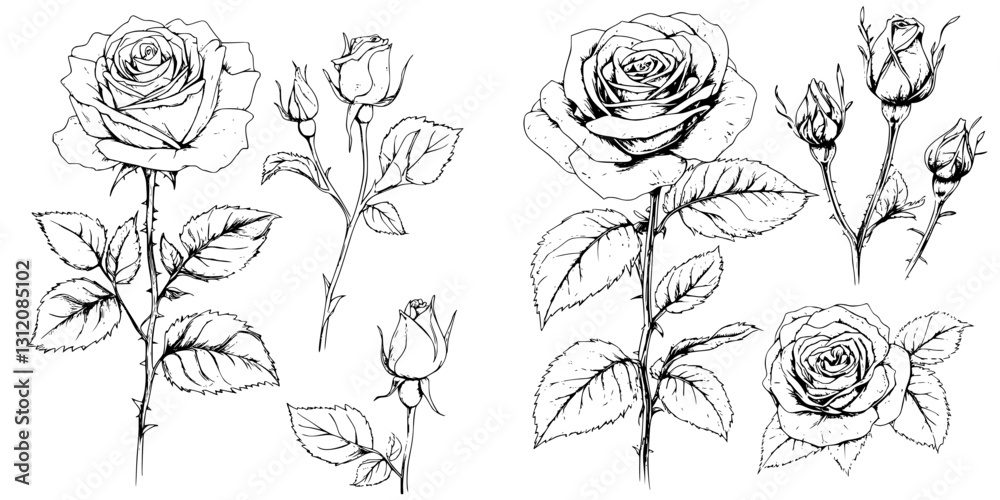 Elegant hand-drawn sketches of roses capturing the beauty of nature in detailed line art