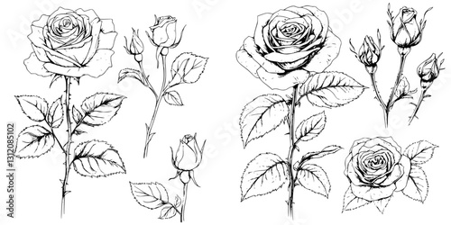 Obraz na płótnie Elegant hand-drawn sketches of roses capturing the beauty of nature in detailed line art w salonie