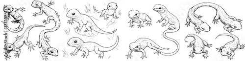 Lizards in various poses and orientations captured in a detailed black and white illustration